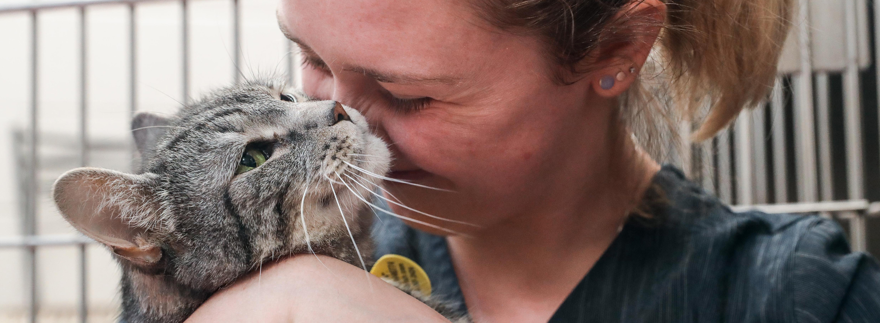 an adoption partner PetSmart Charities